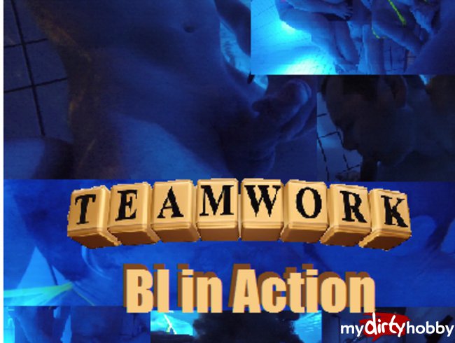 TeamWork - BI in Action