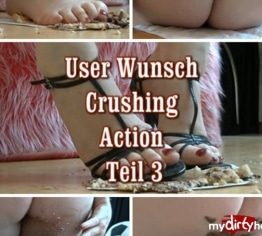 User Wunsch - crushing Action 3