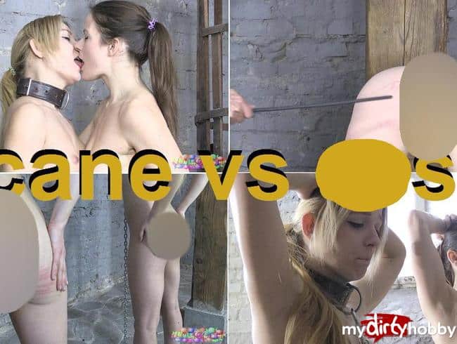cane vs ass