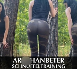Arschanbeter Schnüffeltraining