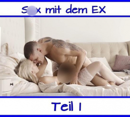 Sex mit dem EX Teil 1