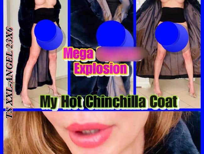 TSXXL-ANGEL23X6 My Hot Chinchilla Coat