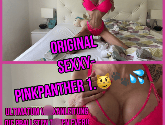 Wixxanleitung- Sexxy-Pinkpanther 1
