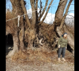 Fickfetzen pisst beim Spazierengang