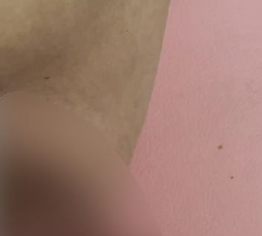 wer möchte mir zur Hand gehen